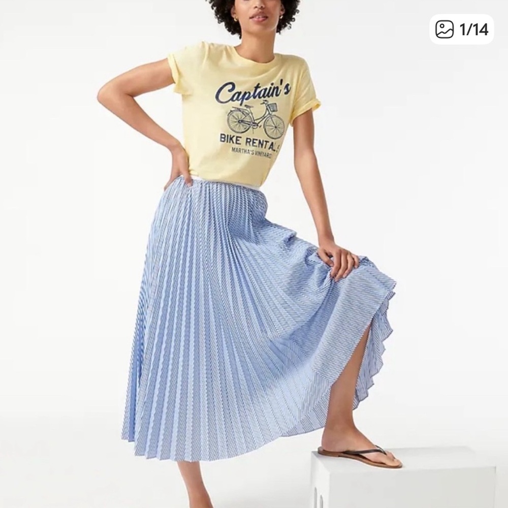 J. Crew Light Blue A-Line Pleated Skirt